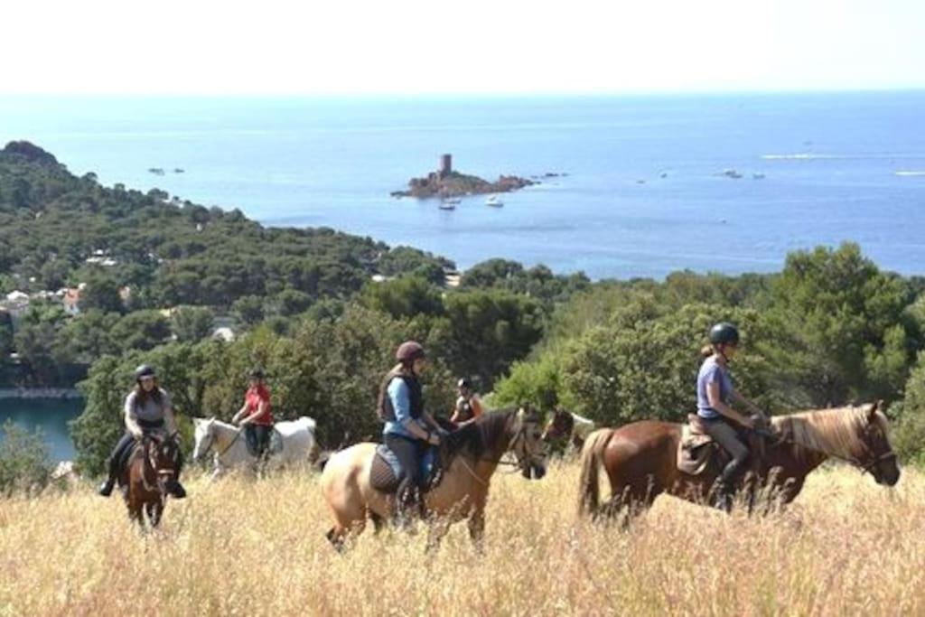 Dans Un Cadre D'Exception, Vue Mer Panoramique A Agay Cote D'Azur, Village Vacances Cap Esterel, T2 Avec Jardin, Golf, Climatisation, Wifi, 5 Piscines Saint-Raphaël Dış mekan fotoğraf
