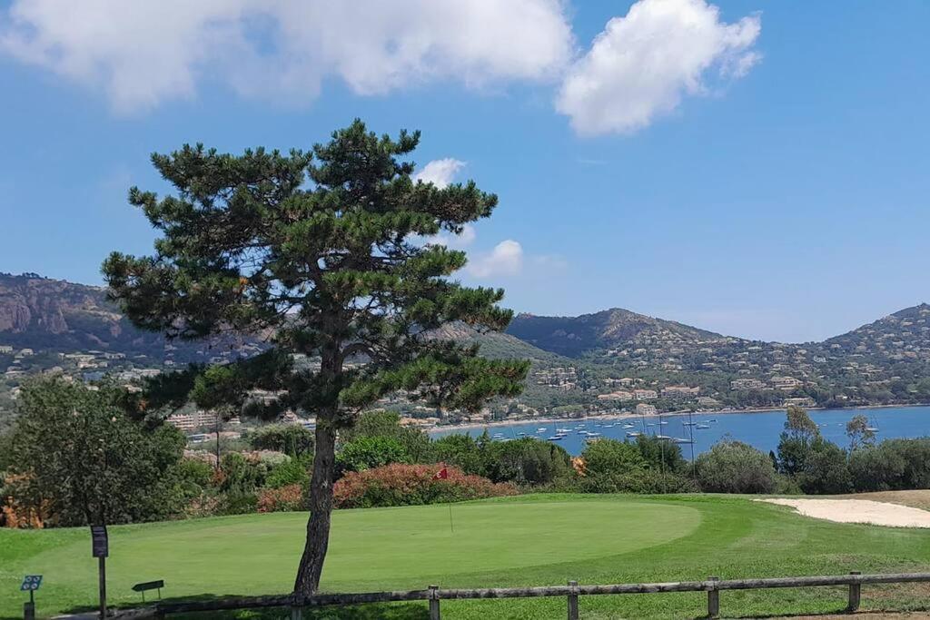 Dans Un Cadre D'Exception, Vue Mer Panoramique A Agay Cote D'Azur, Village Vacances Cap Esterel, T2 Avec Jardin, Golf, Climatisation, Wifi, 5 Piscines Saint-Raphaël Dış mekan fotoğraf