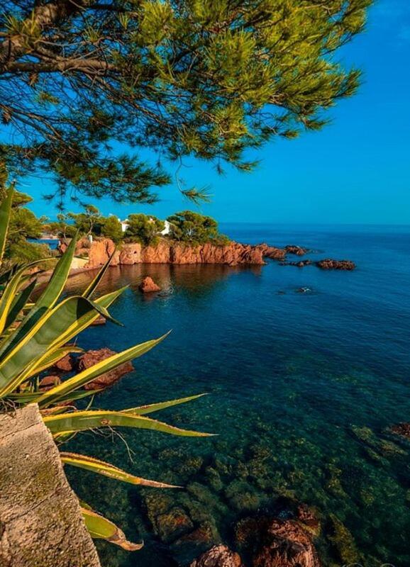 Dans Un Cadre D'Exception, Vue Mer Panoramique A Agay Cote D'Azur, Village Vacances Cap Esterel, T2 Avec Jardin, Golf, Climatisation, Wifi, 5 Piscines Saint-Raphaël Dış mekan fotoğraf